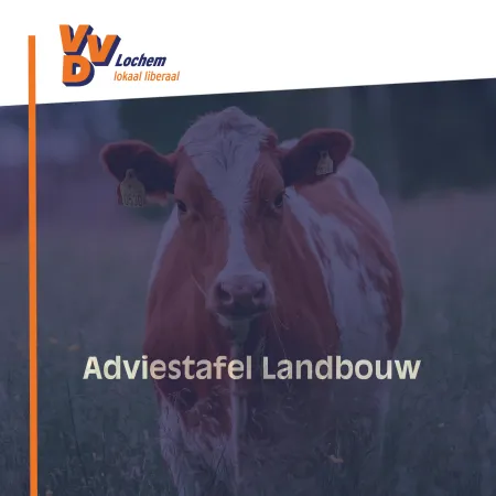 VVD Adviseert Voor Toekomstgericht Landbouwbeleid